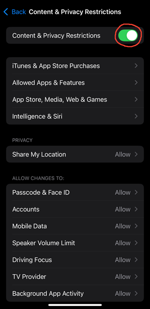 byod_figContentRestrictions.png
